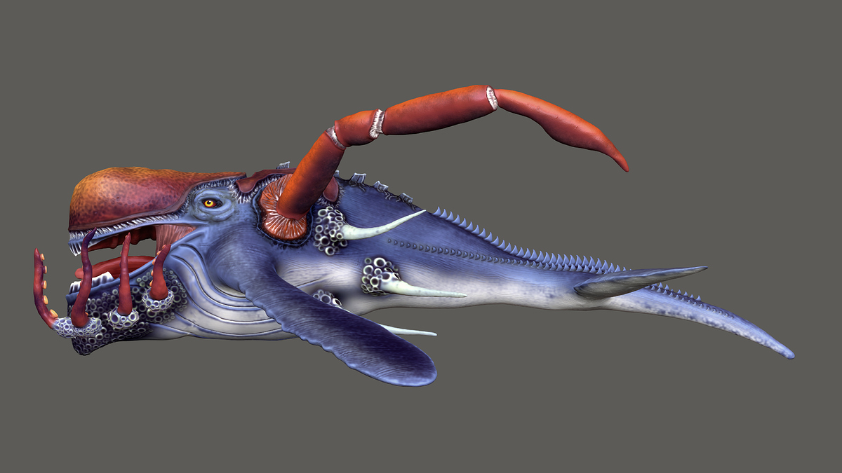 Side_Orthographic