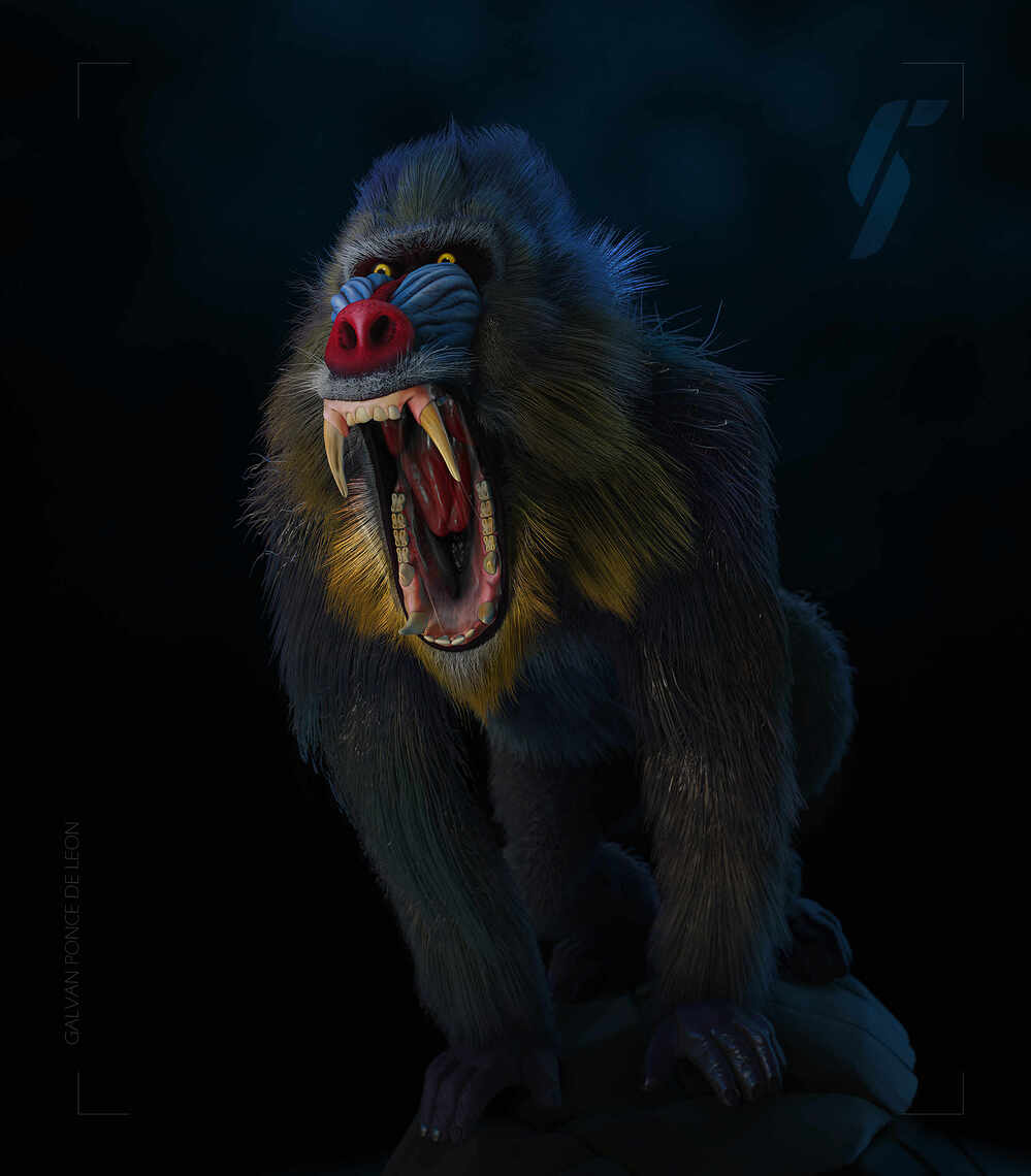 mandril_001_2023@0.5x