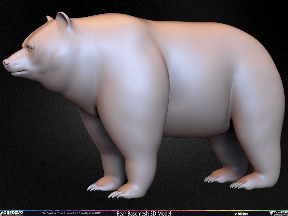 Bear Basemesh 3D Model Sculpted by Yacine BRINIS Set 041