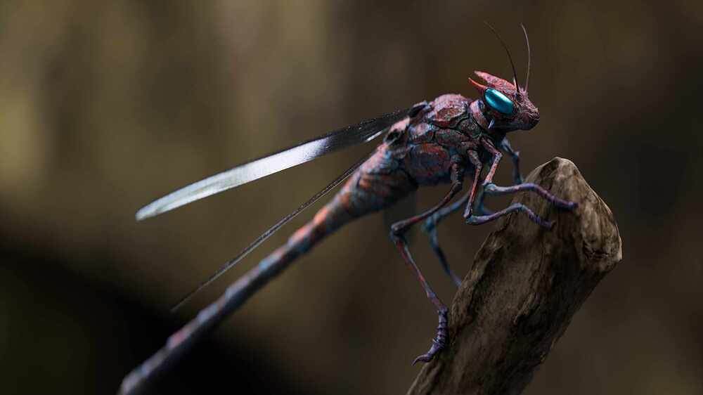 Render_005