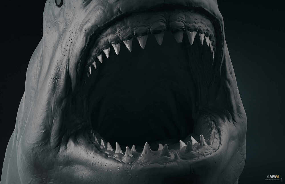 Megalodon_Render_Grey_04_Crop_1936_Web