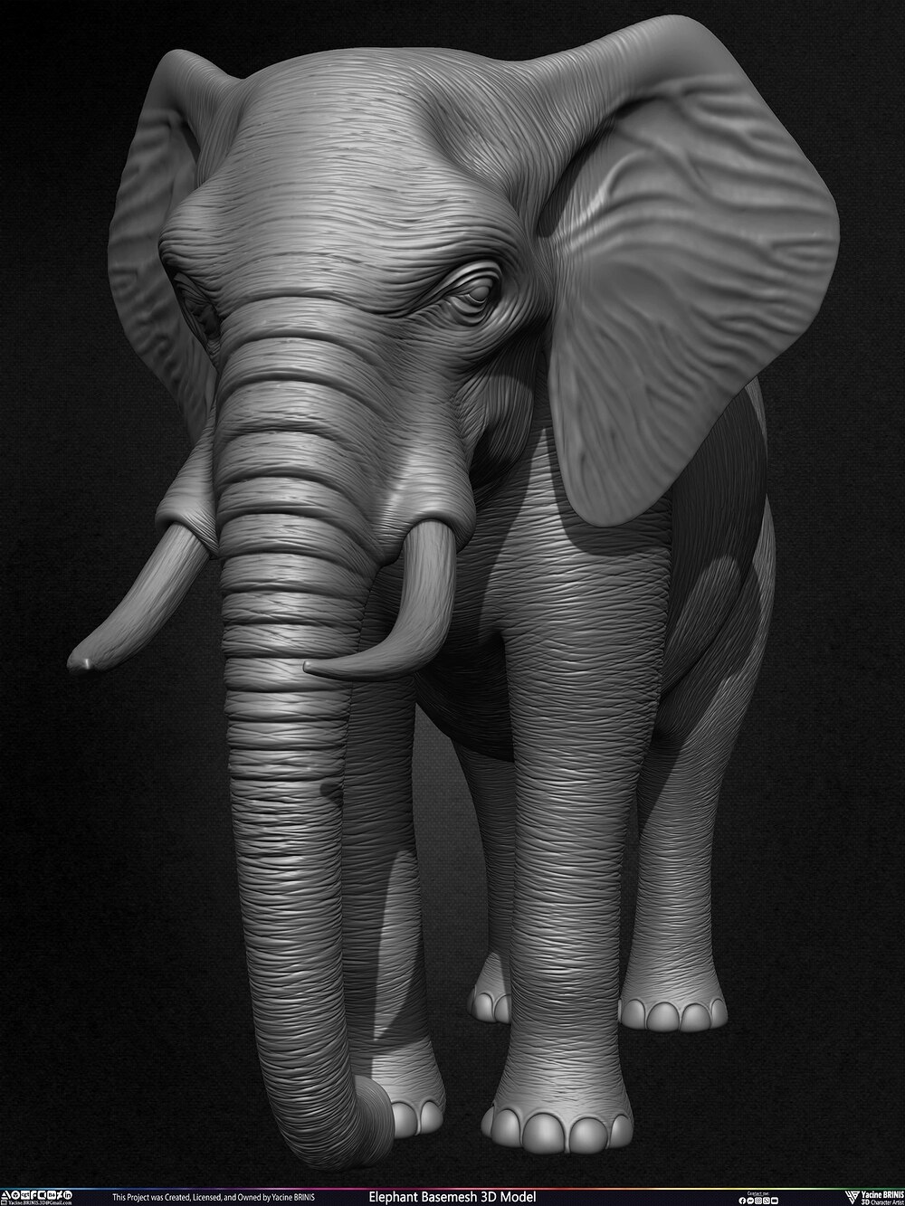 Elephant Basemesh 3D Model Animal Sculpted by Yacine BRINIS Set 011