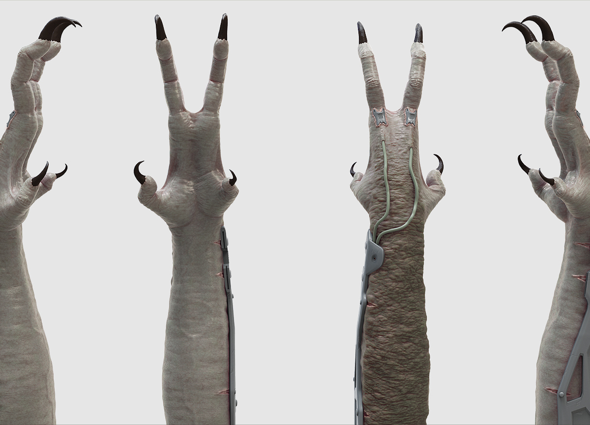 ClawConceptReSize.jpg