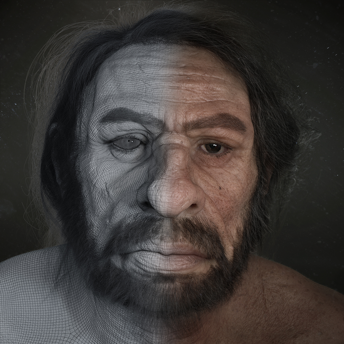 5Neanderthal-Front-Wiree