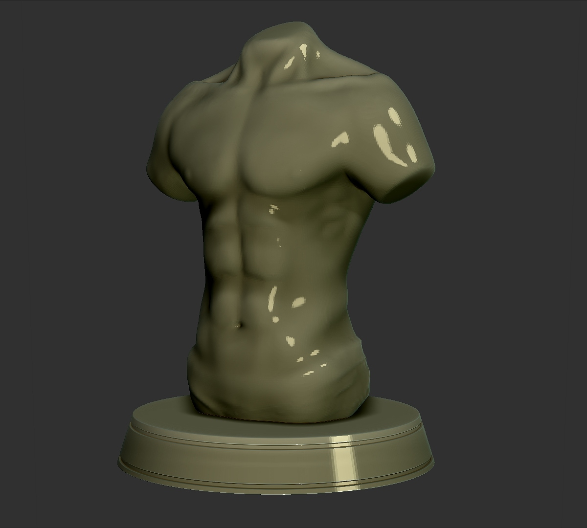 Torso.jpg