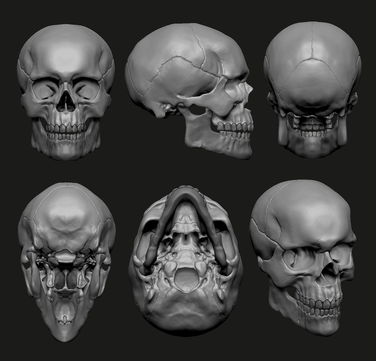 Skull%20Views