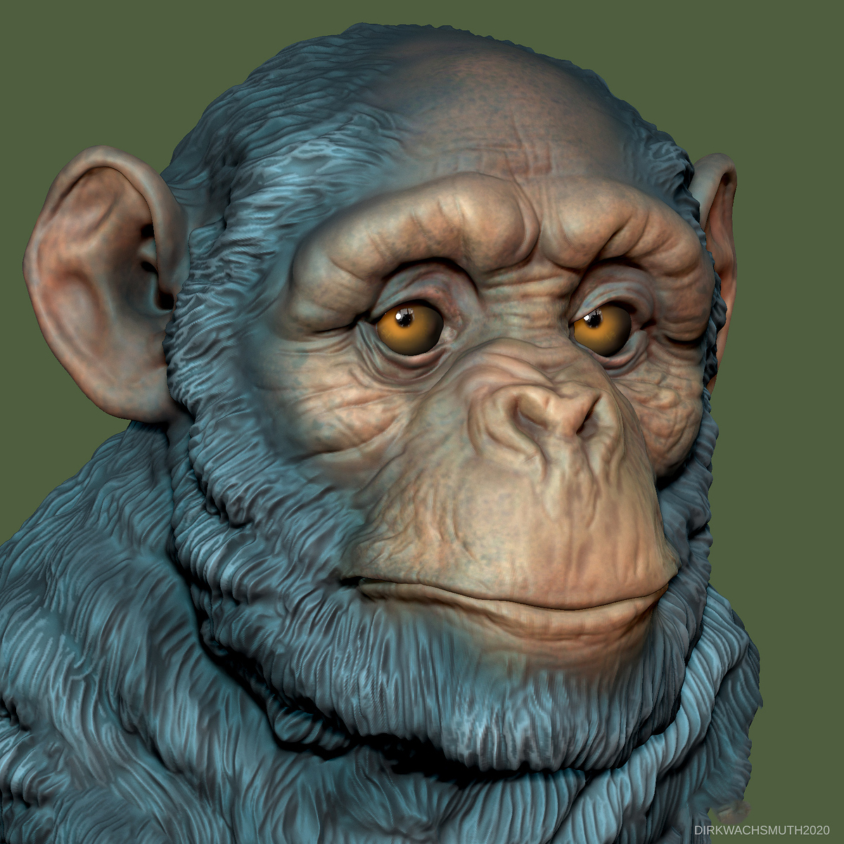 chimp_02