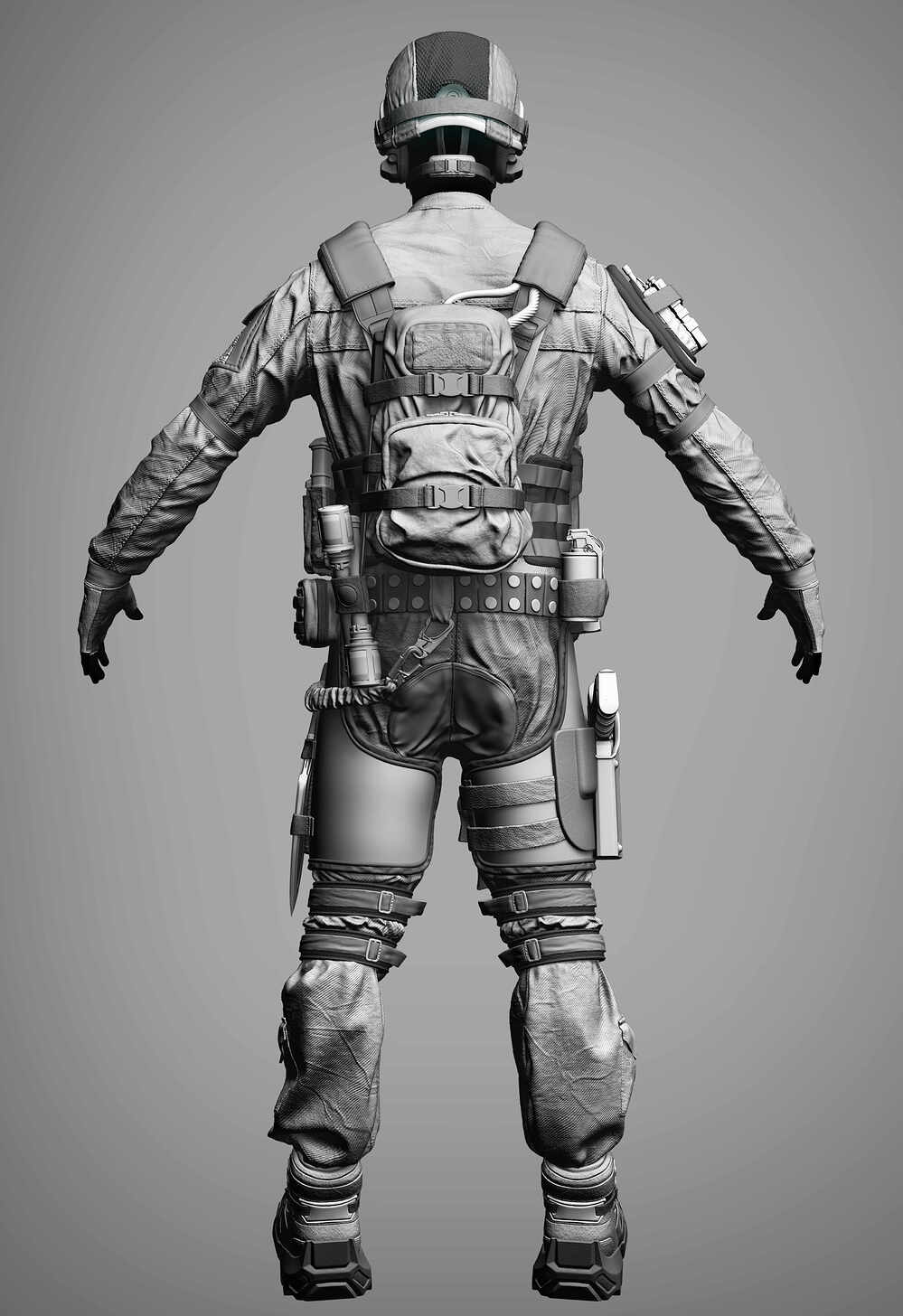 Z_Grey_Back01