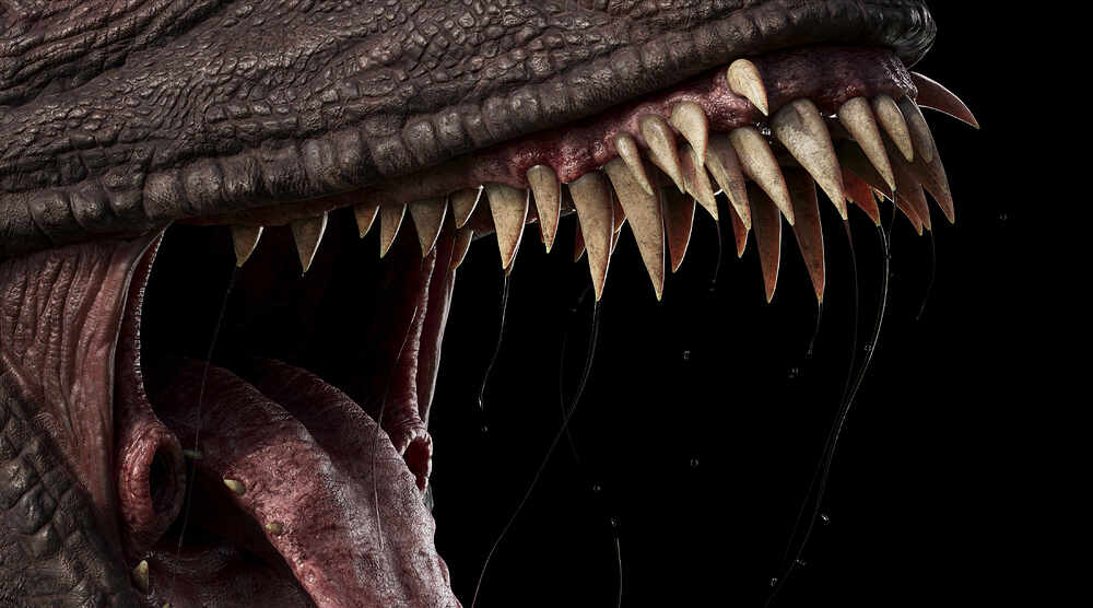 Dragon_4_jpg tooth