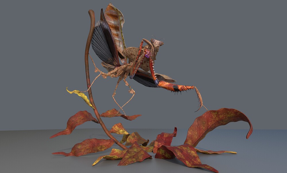 WIP_007