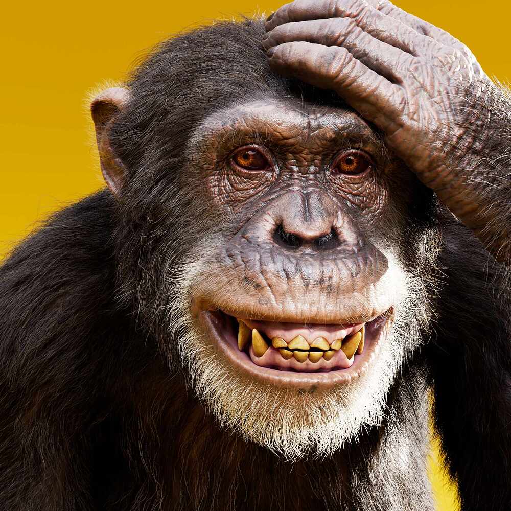 ape_render_ACES