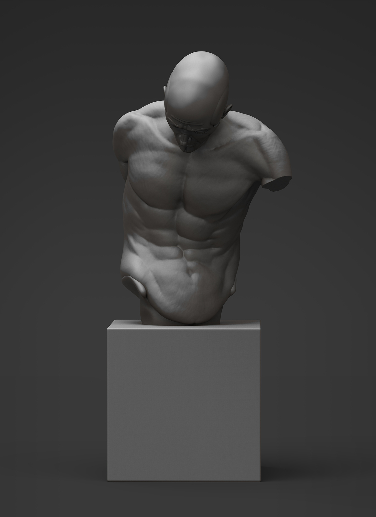 torso1