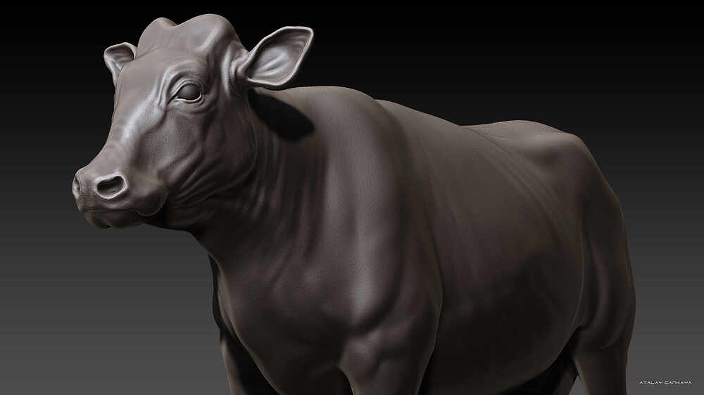 Cow - Clay 4