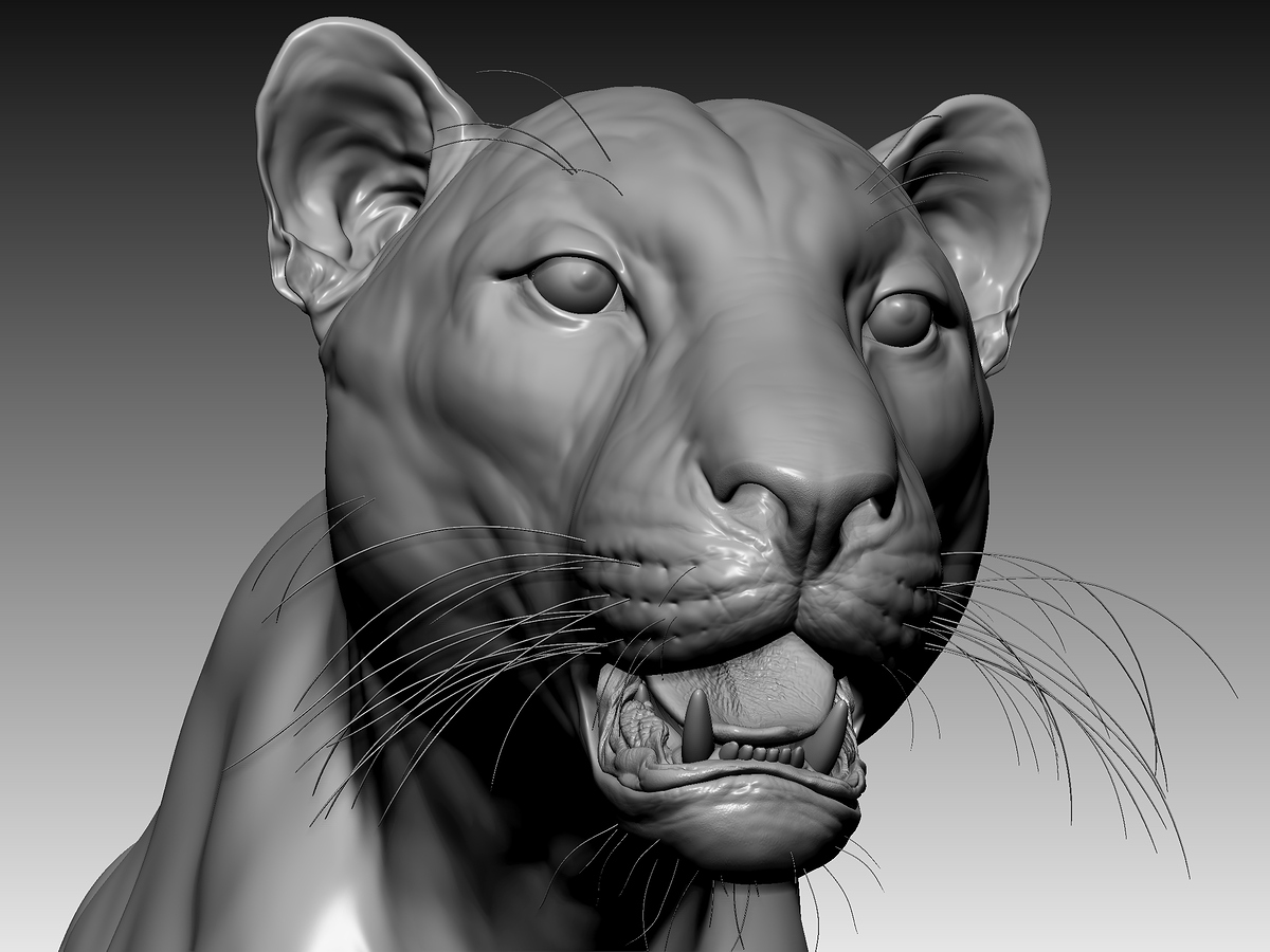 ZBrushSculpt3