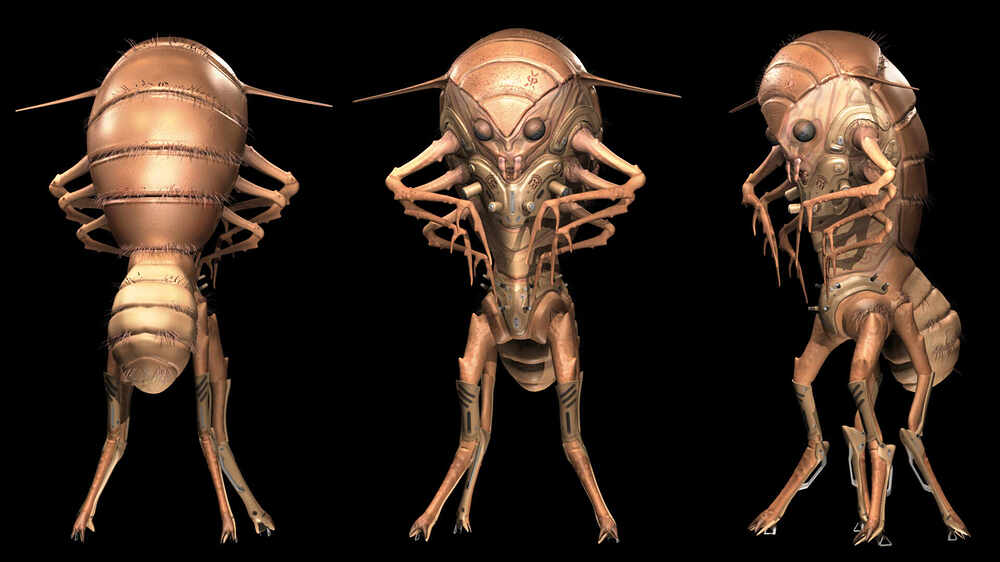 Barrybug5