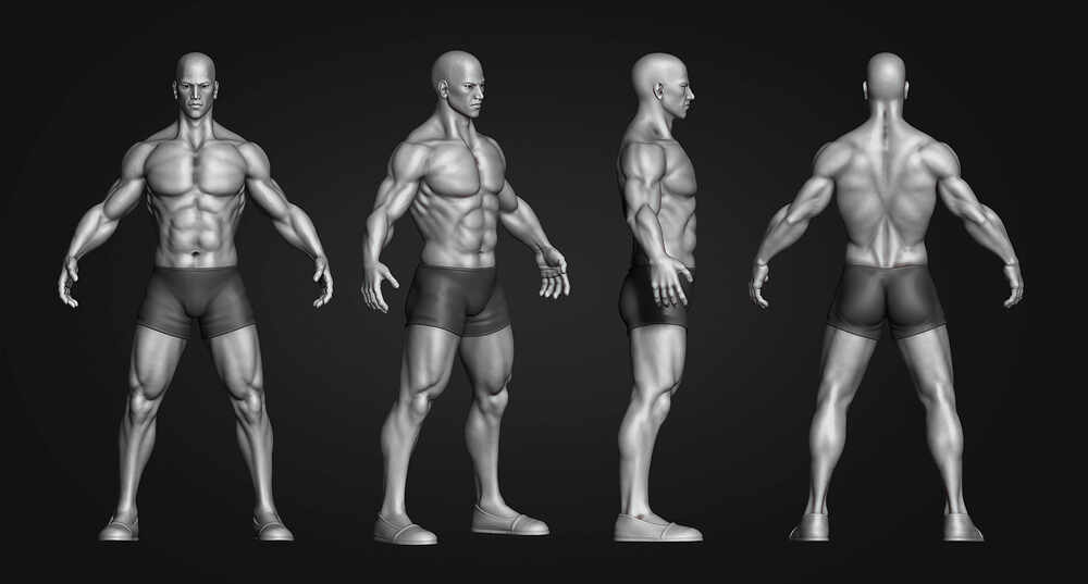 Zbrush_FullBodyAnatomy