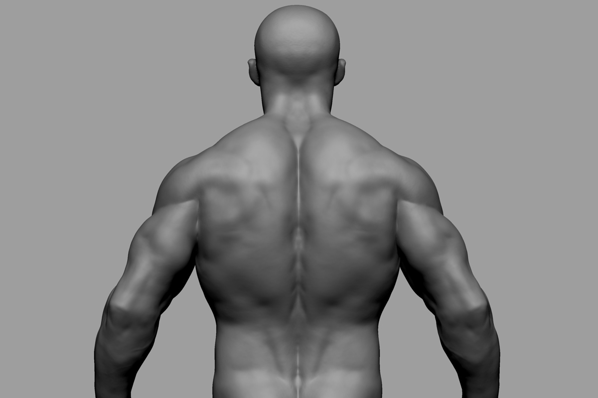 ktorso03