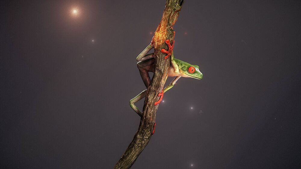 Diseño sin título (5)