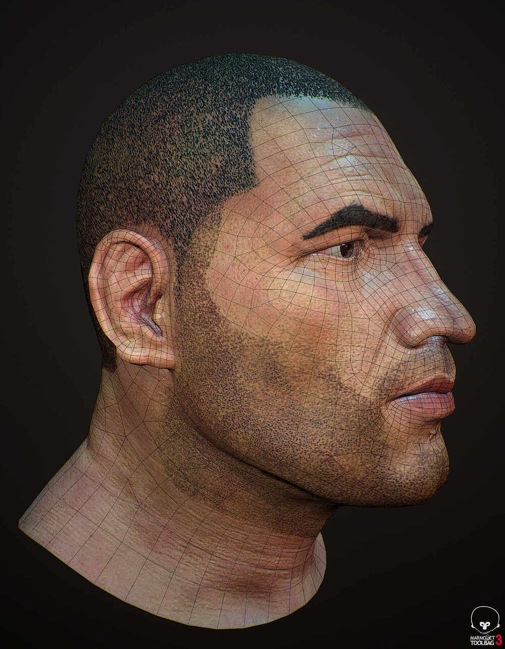 C_V_Head_wireframe