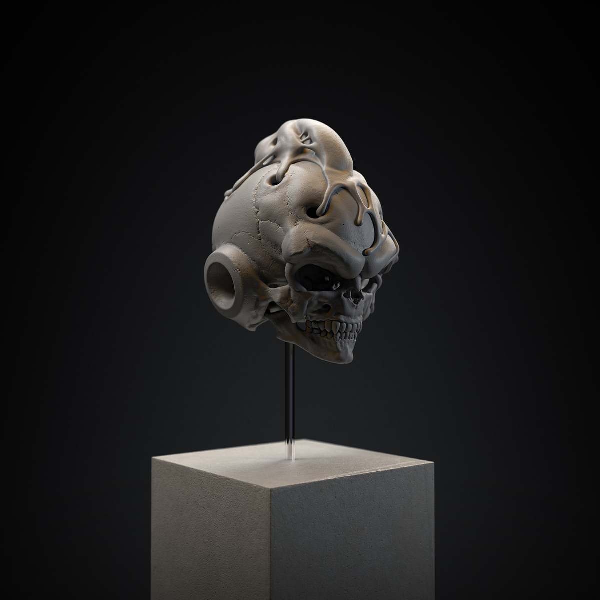 Boo_V1_camera_11_GREY