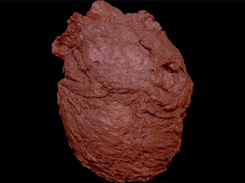 ZBrush-Document8307