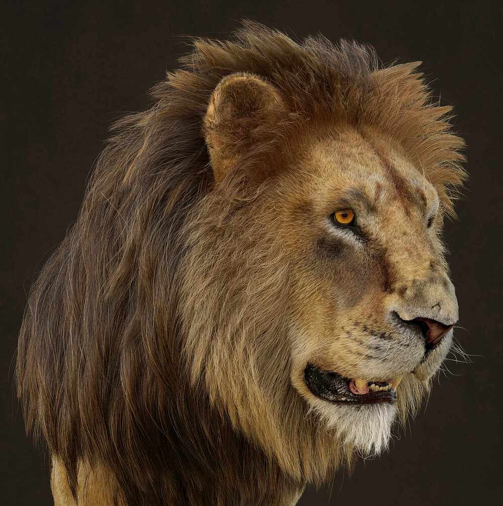 betoPrado_lion_pose01