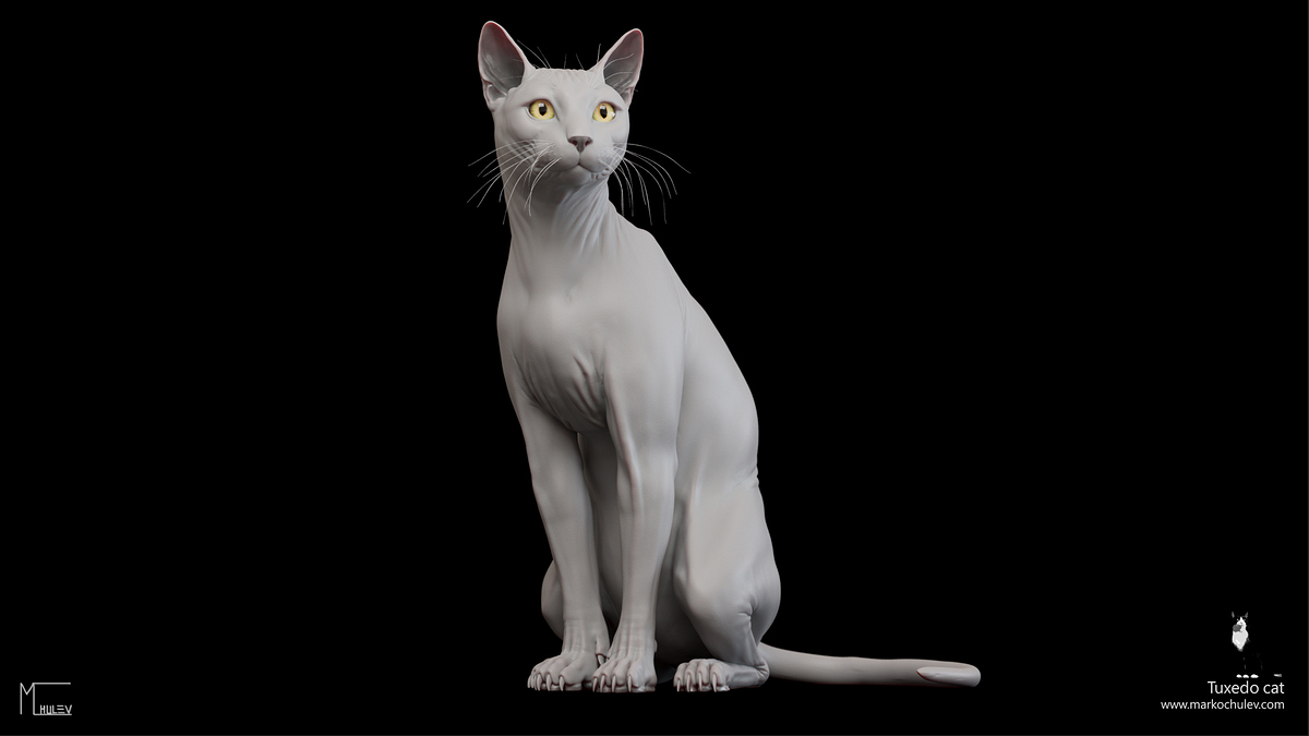 TuxedoCat.v1.3