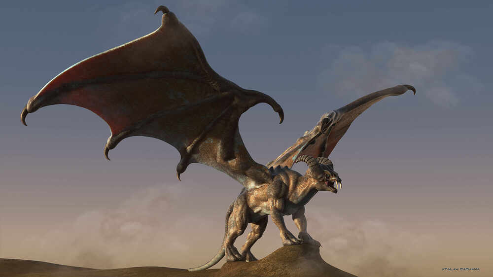Flyer Beast 9