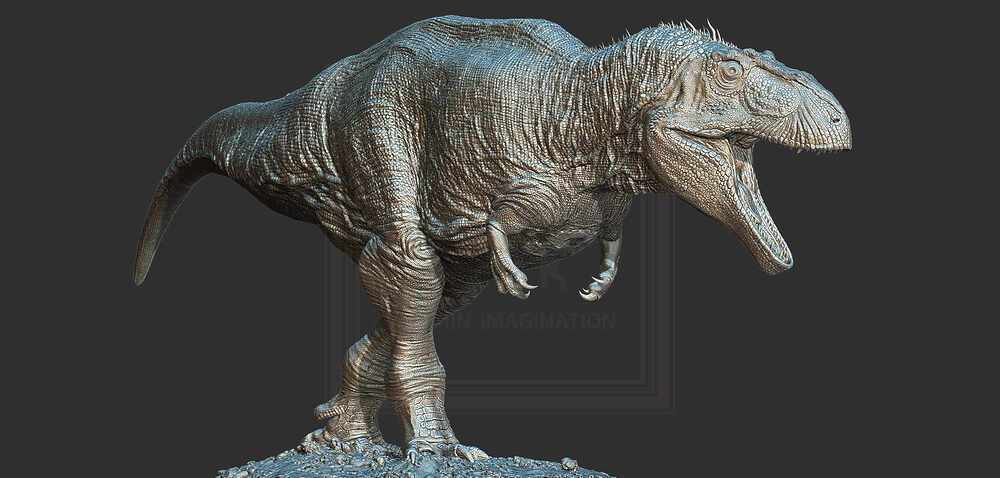 ZBrush Document3