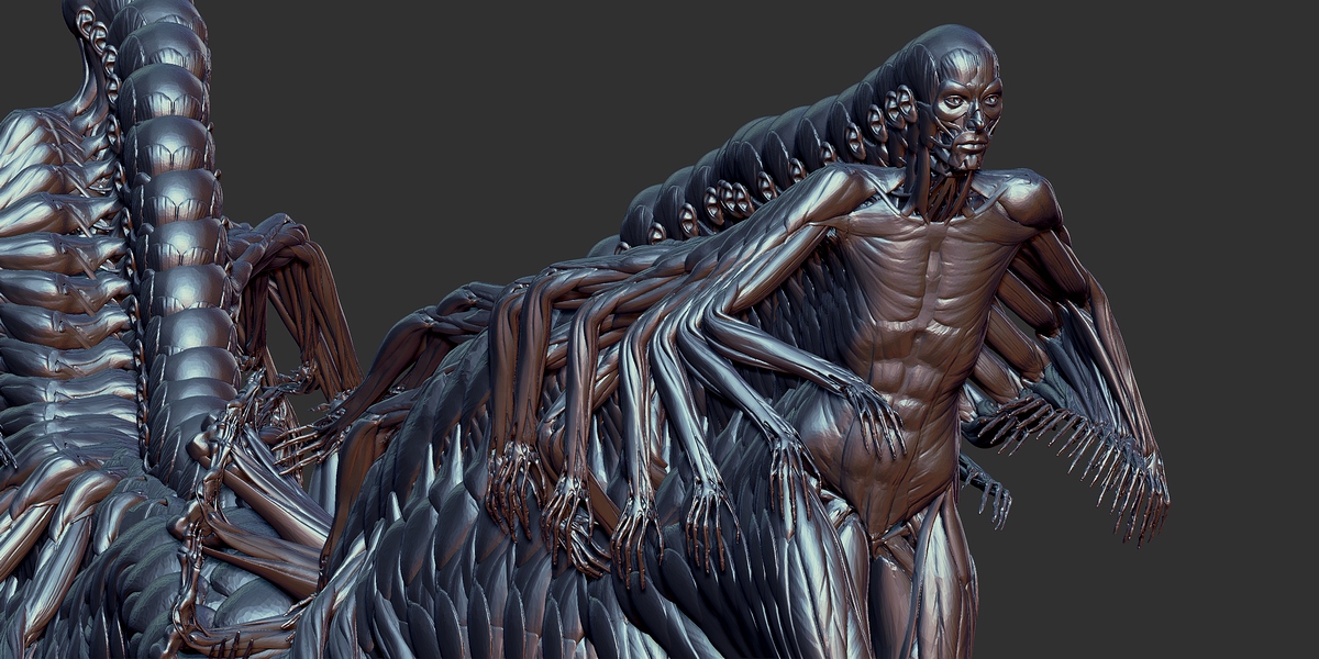 bone05