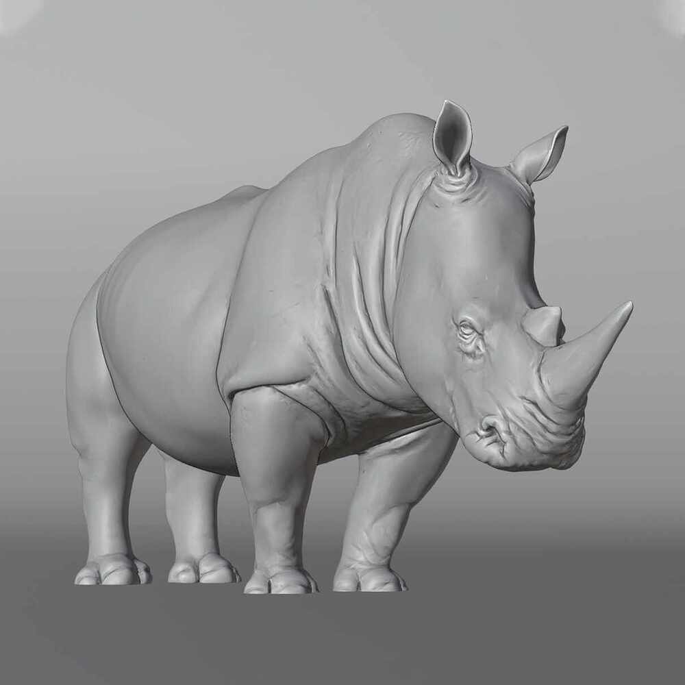 3_rhino_viewport