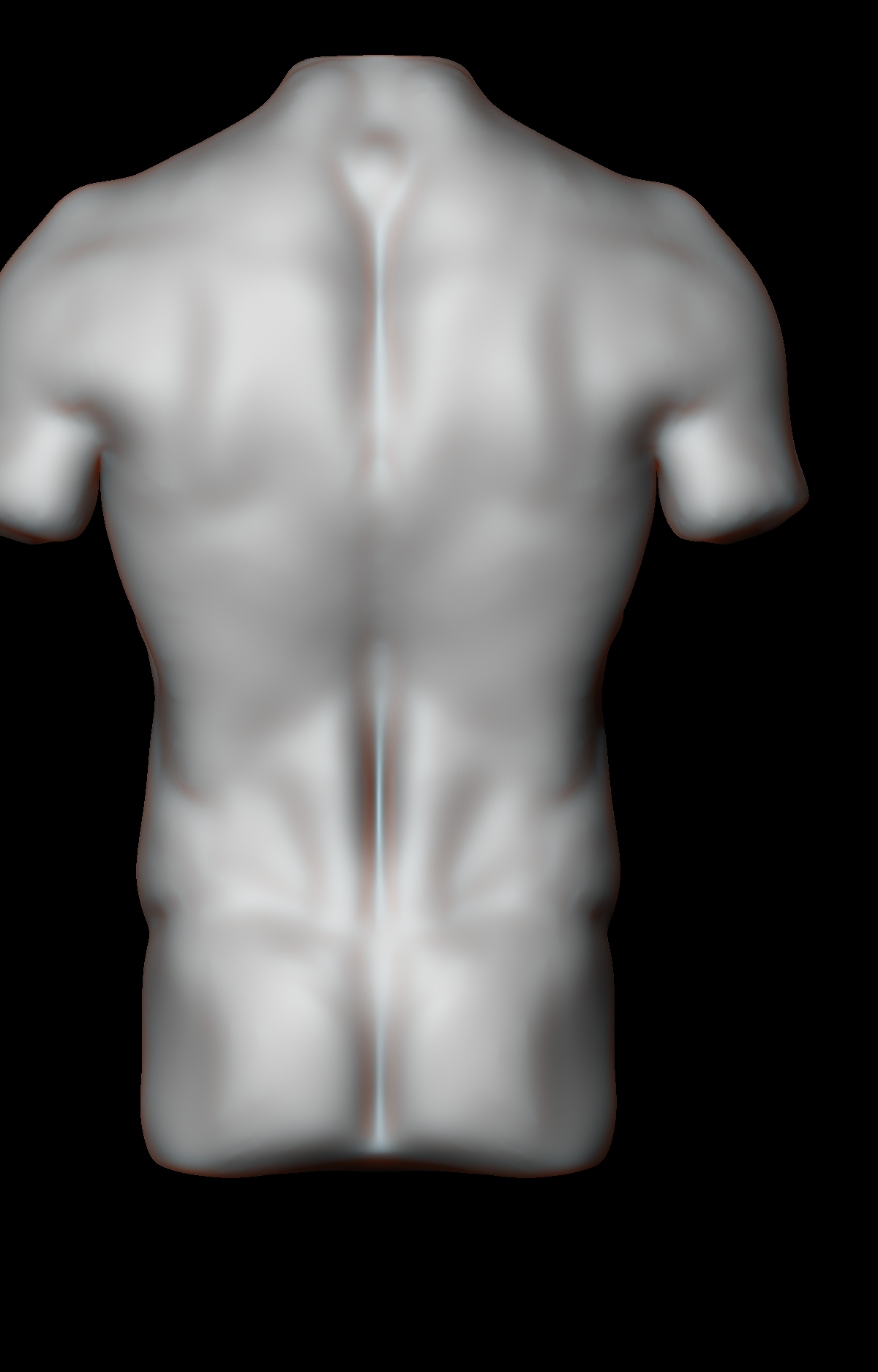 Back Torso.jpg