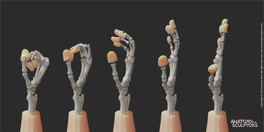 FistSequence
