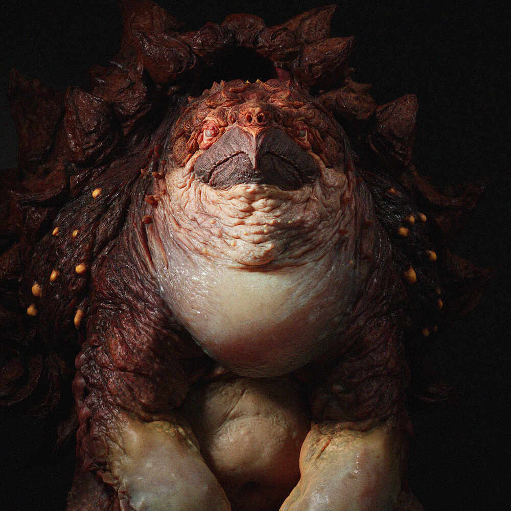 Turtle_Textures_Render3