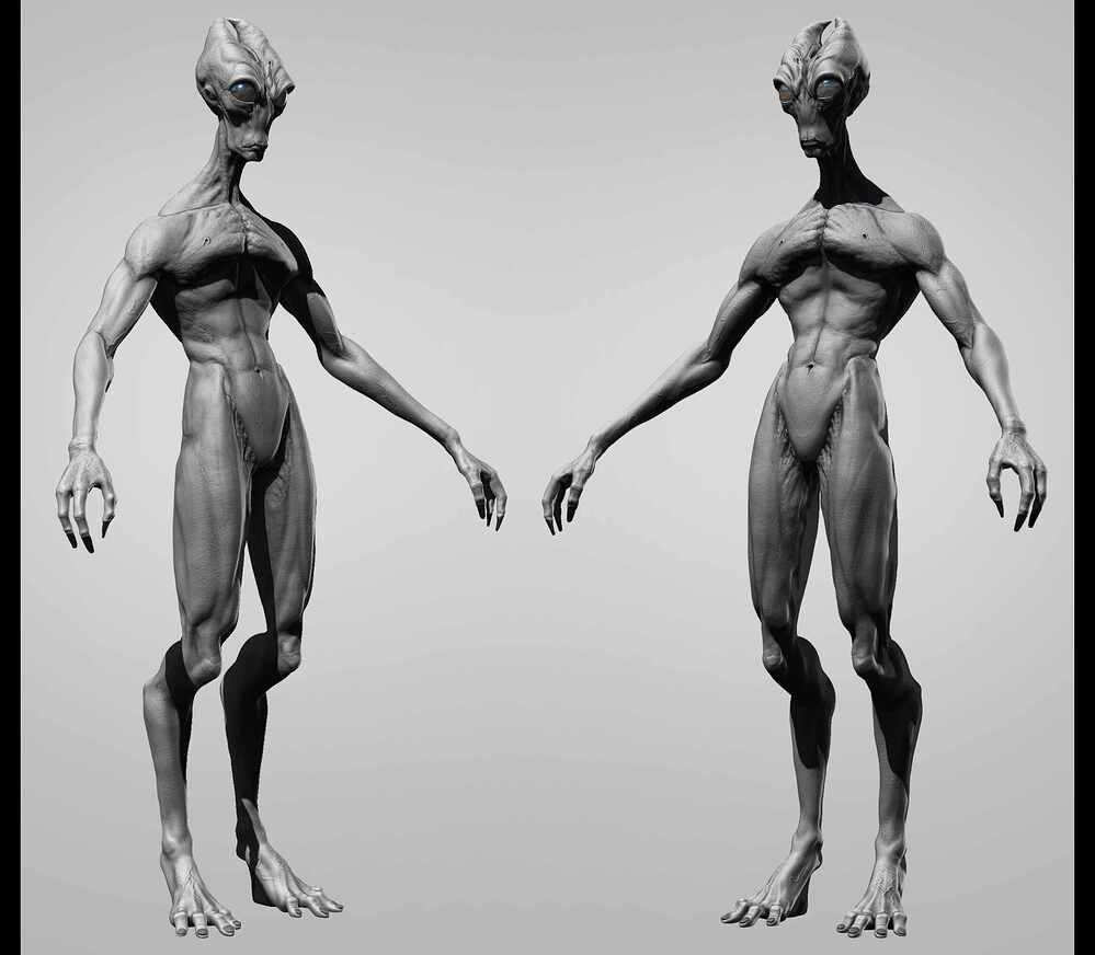 Base Render _1
