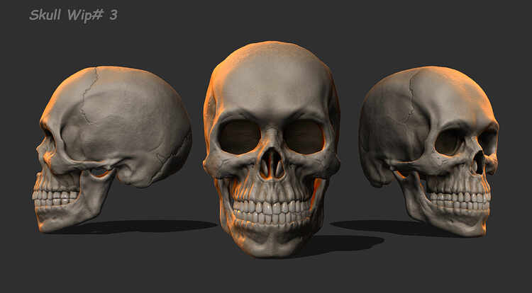 Skull#3