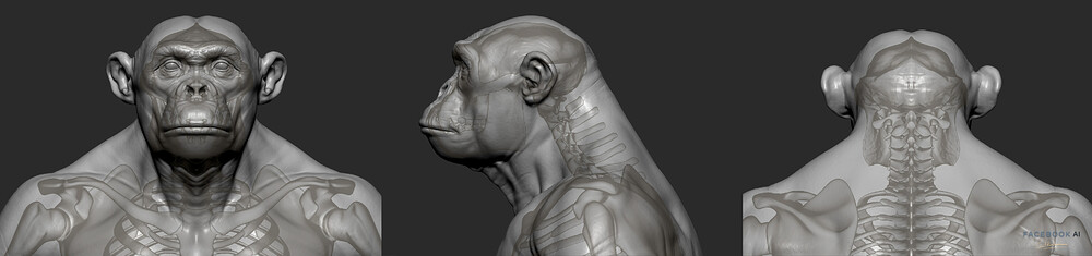 08_gael-kerchenbaum-07-chimp-breakdown