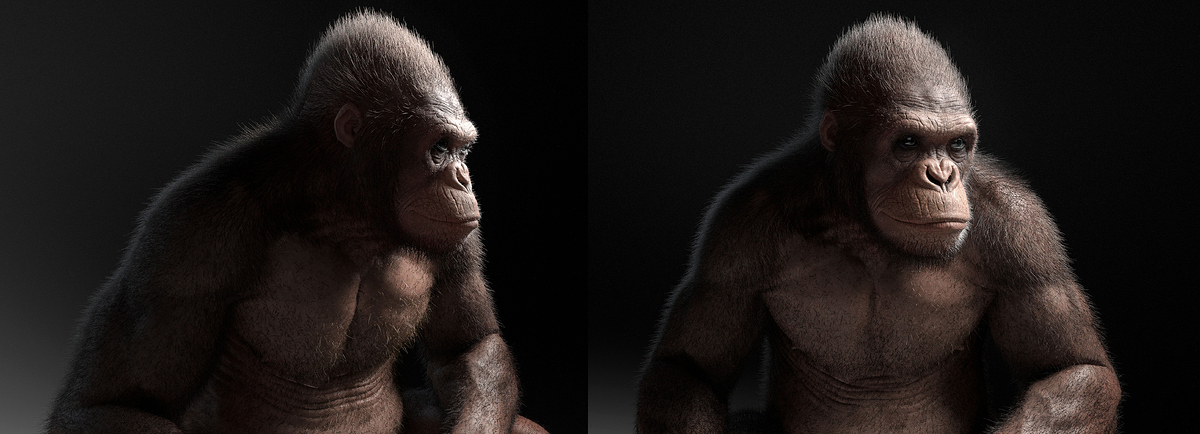 ApeHair_02