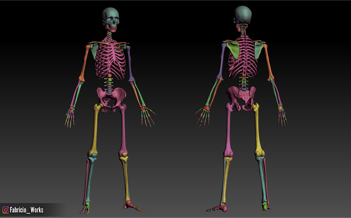 00 Skeleton polygroups
