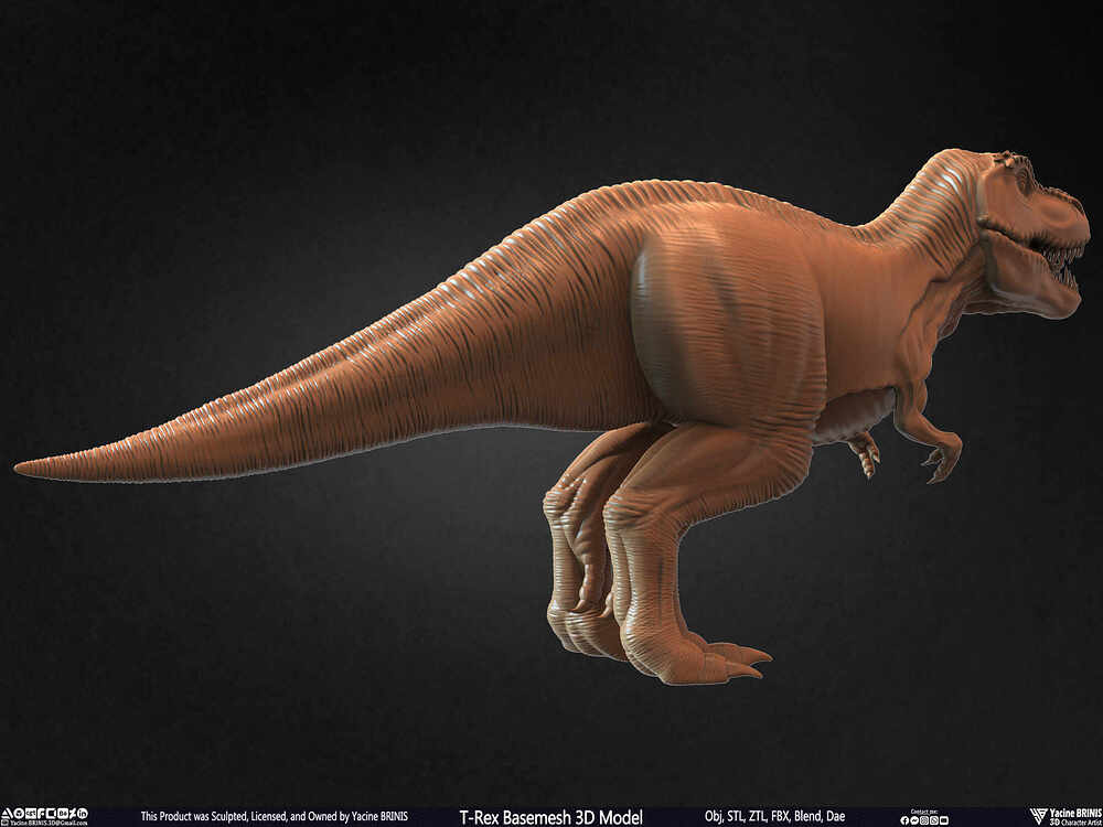 T-Rex Basemesh 3D Model (Tyrannosaurus Rex) Sculpted By Yacine BRINIS Set 007