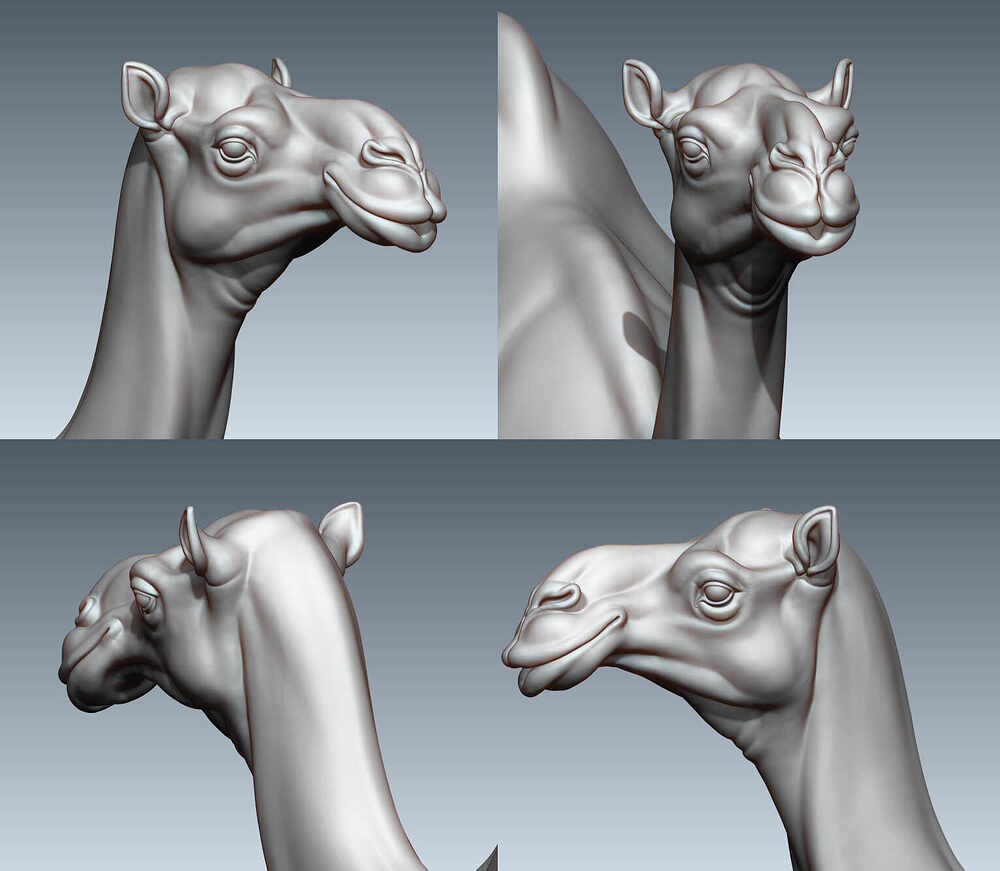 head_hp_0305