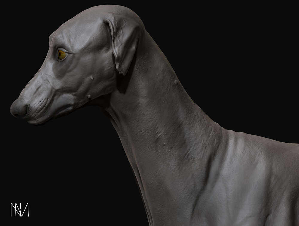D_Render_05
