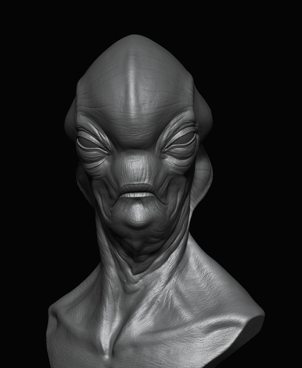 Z_51