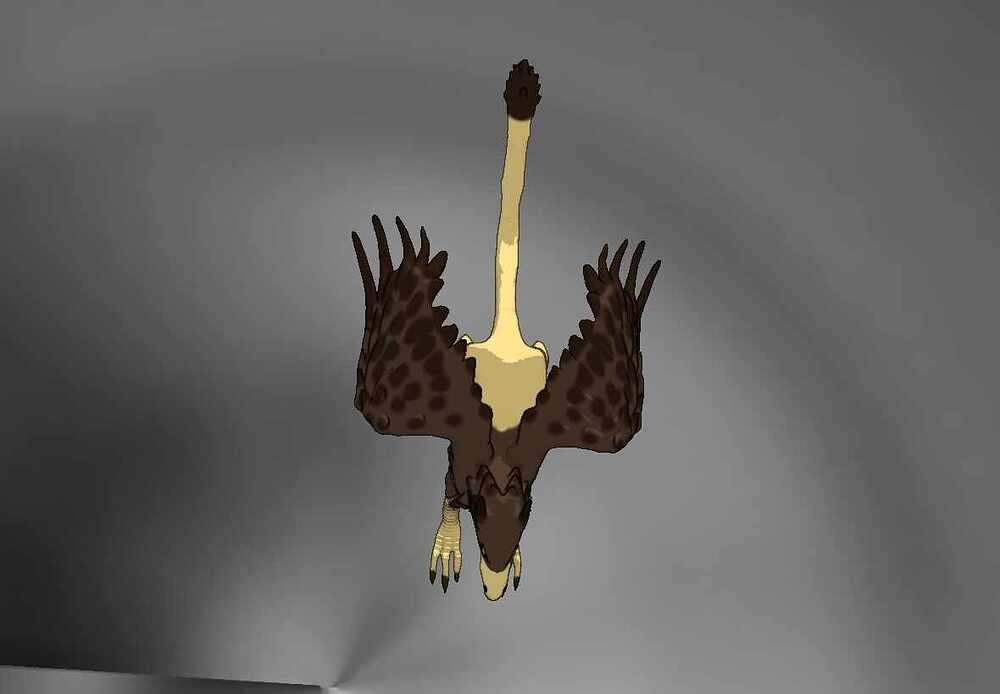 Griffin top