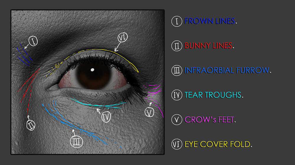 eye creases and detail