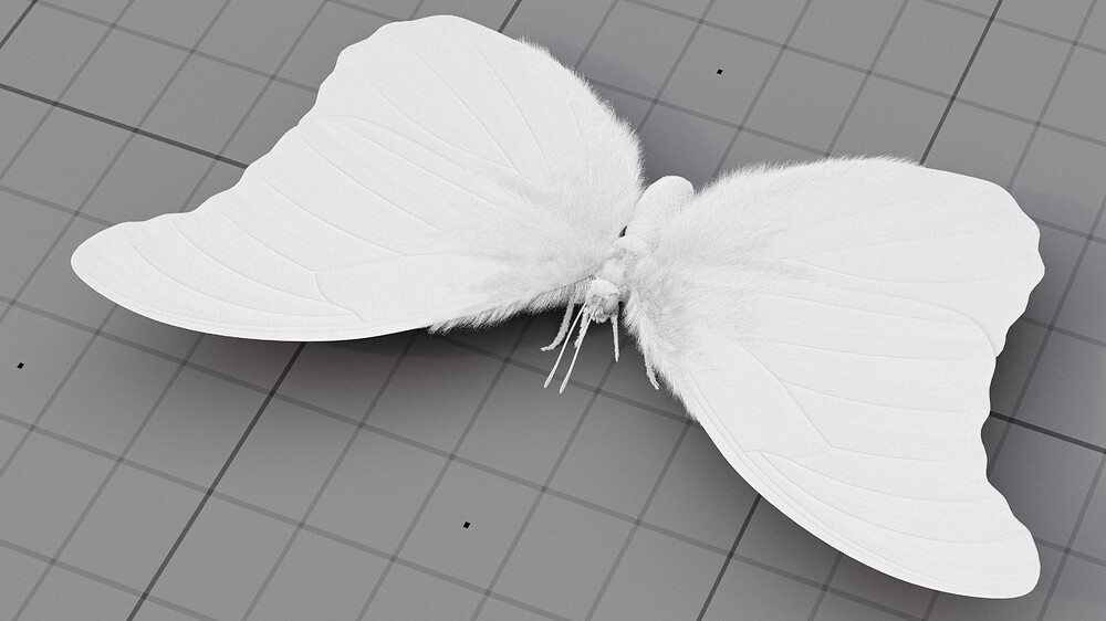 Blue_Morpho_clay_01