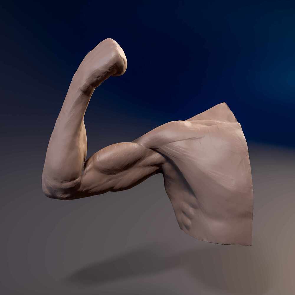 Arm_supin_01