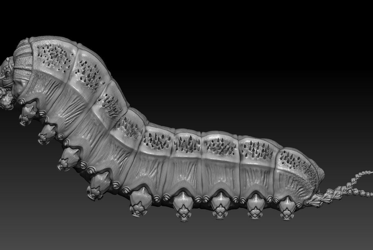 Chenille alien 3.jpg