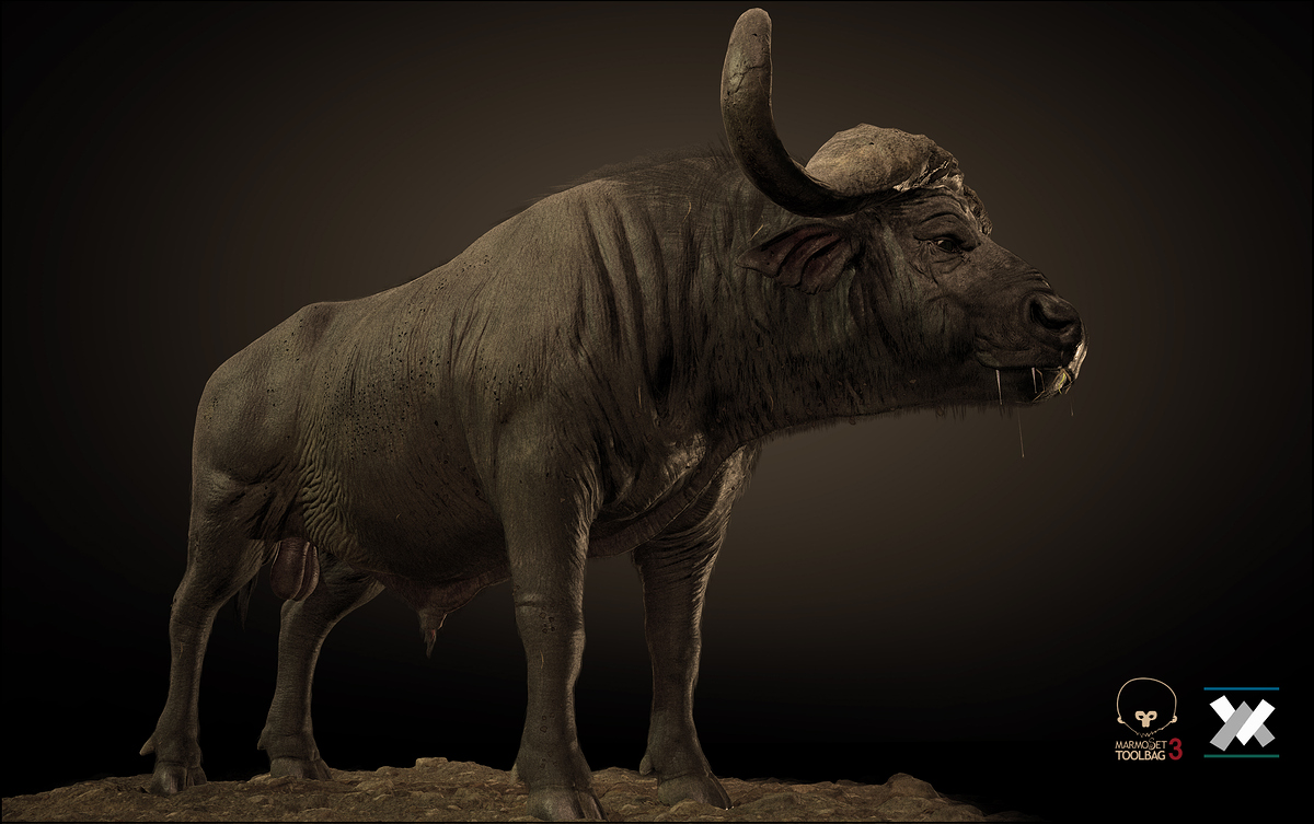 Buffalo_J1