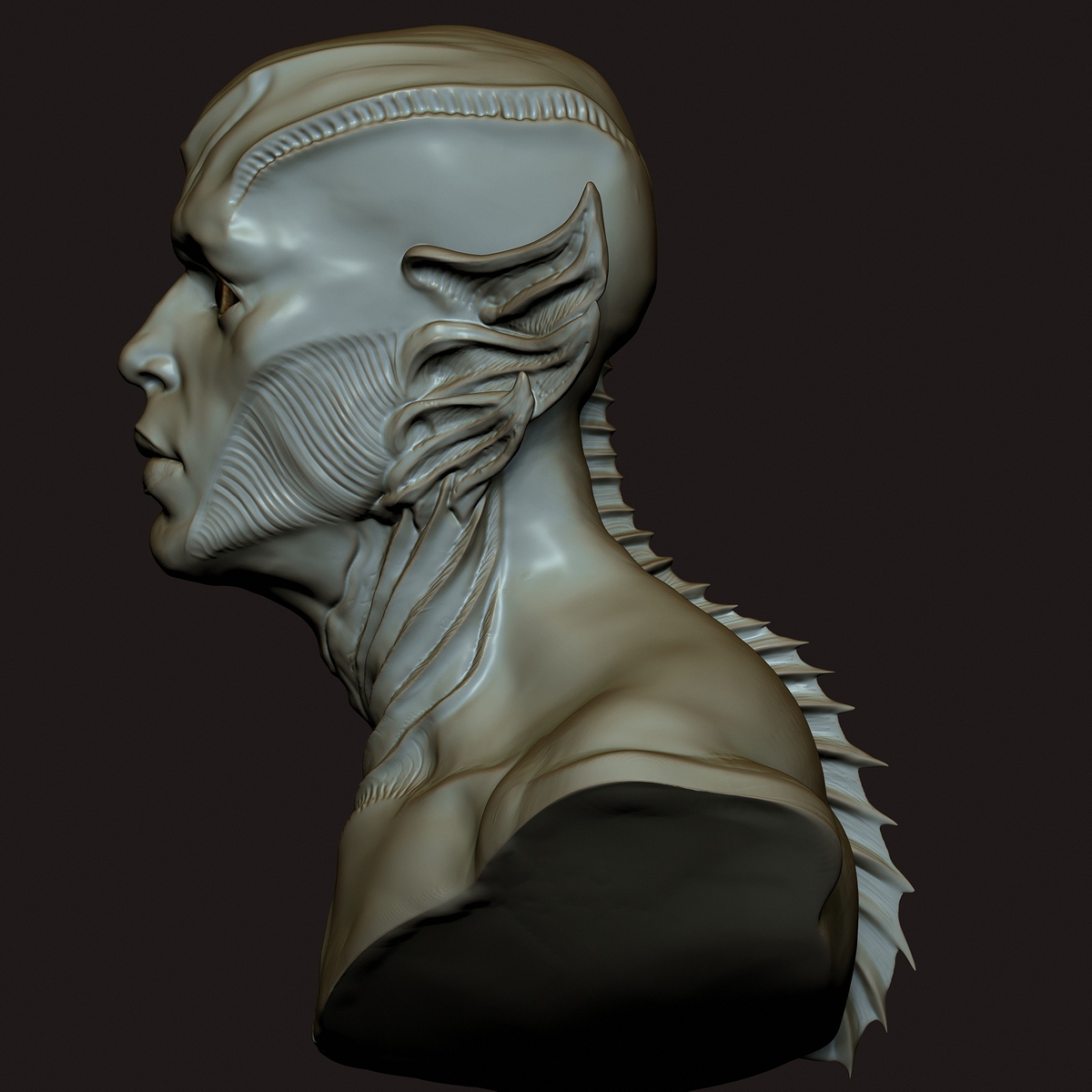 52883D8F-6878-41A3-A0CE-27DCDBEE5168